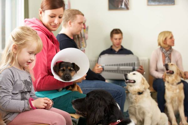 Unangenehme Gerüche beim Tierarzt