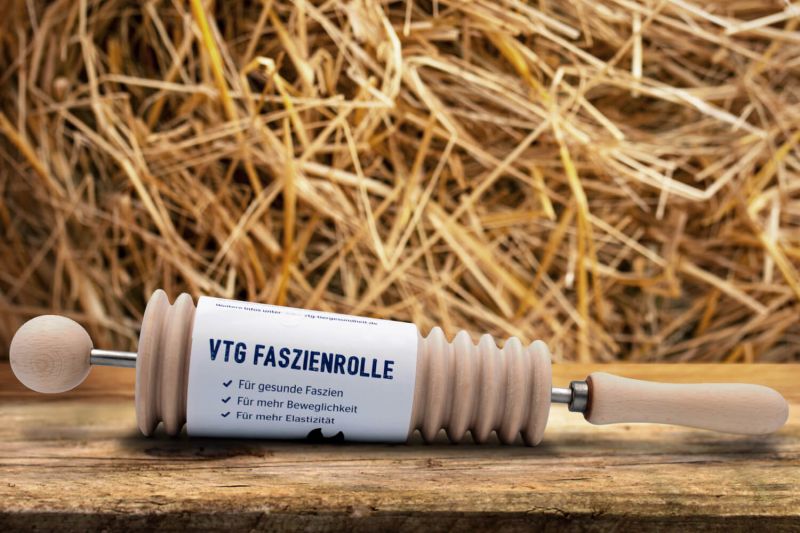 VTG Faszienrolle
