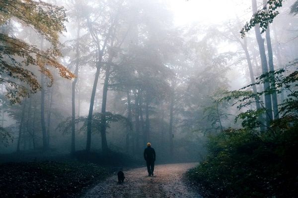 Gassi gehen im Dunkeln - Spaziergang mit Hund