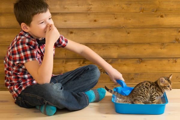 Unangenehme Tiergerüche vermeiden und entfernen