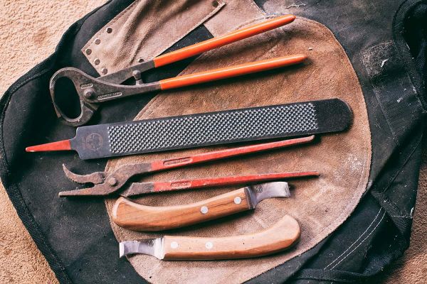 Gesunde Pferdehufe - Werkzeug für Hufschmied