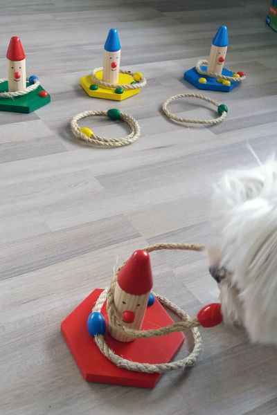 Bommel und das Ringespiel