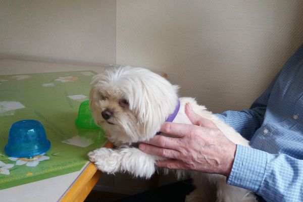 Bommel auf dem Schoß eines Bewohners