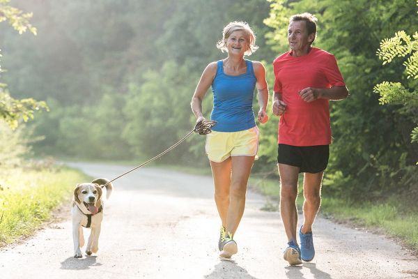 Fitness mit Hund - Mein Trainingspartner mit der kalten Schnauze