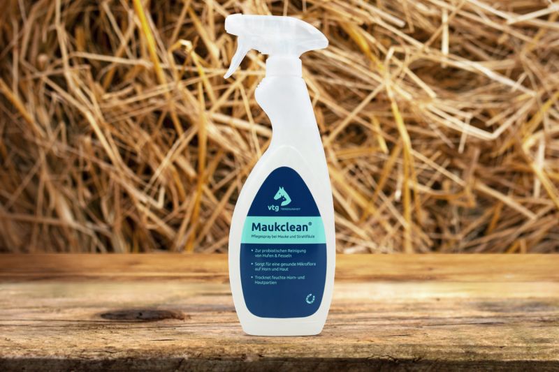 Maukclean Pflegespray - 500ml Flasche
