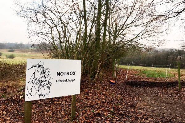 Deutschlands erste Pferdeklappe - Hilfe für Pferde in Not