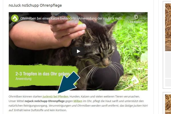 Der neue VTG Online-Shop - Produkbeschreibung mit Ratgeber