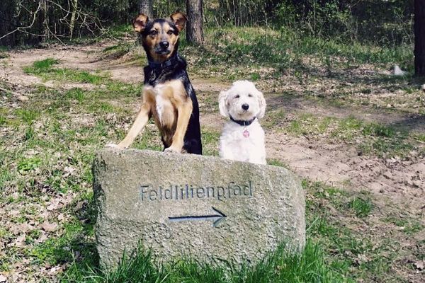 Luna - Liebe auf den ersten Blick