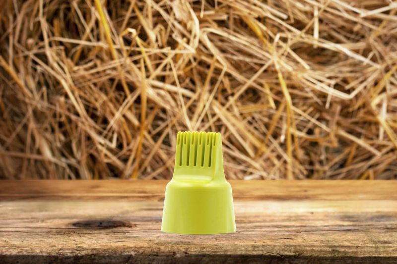 noJuck noSchupp Kamm-Applikator