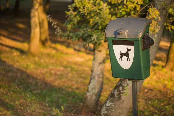 Koprophagie bei Hunden - Kotbeutel