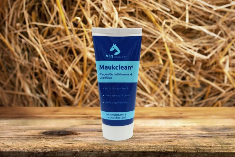 Maukclean Salbe - 60 ml Tube